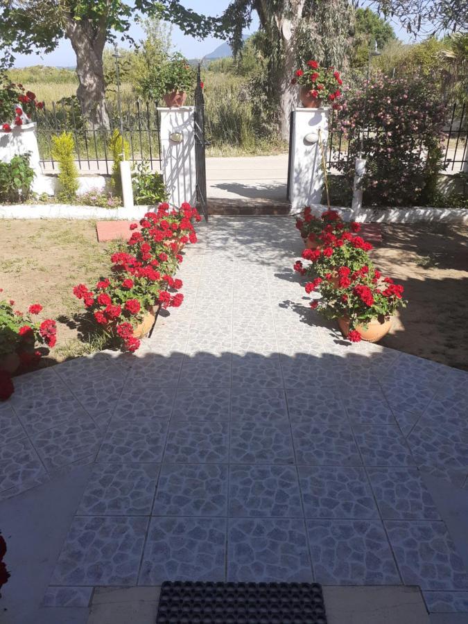 Issos Apartments Agios Georgios  ภายนอก รูปภาพ