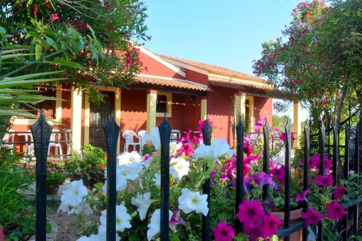 Issos Apartments Agios Georgios  ภายนอก รูปภาพ
